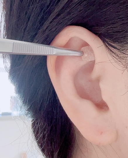 工程2 テキストテキスト